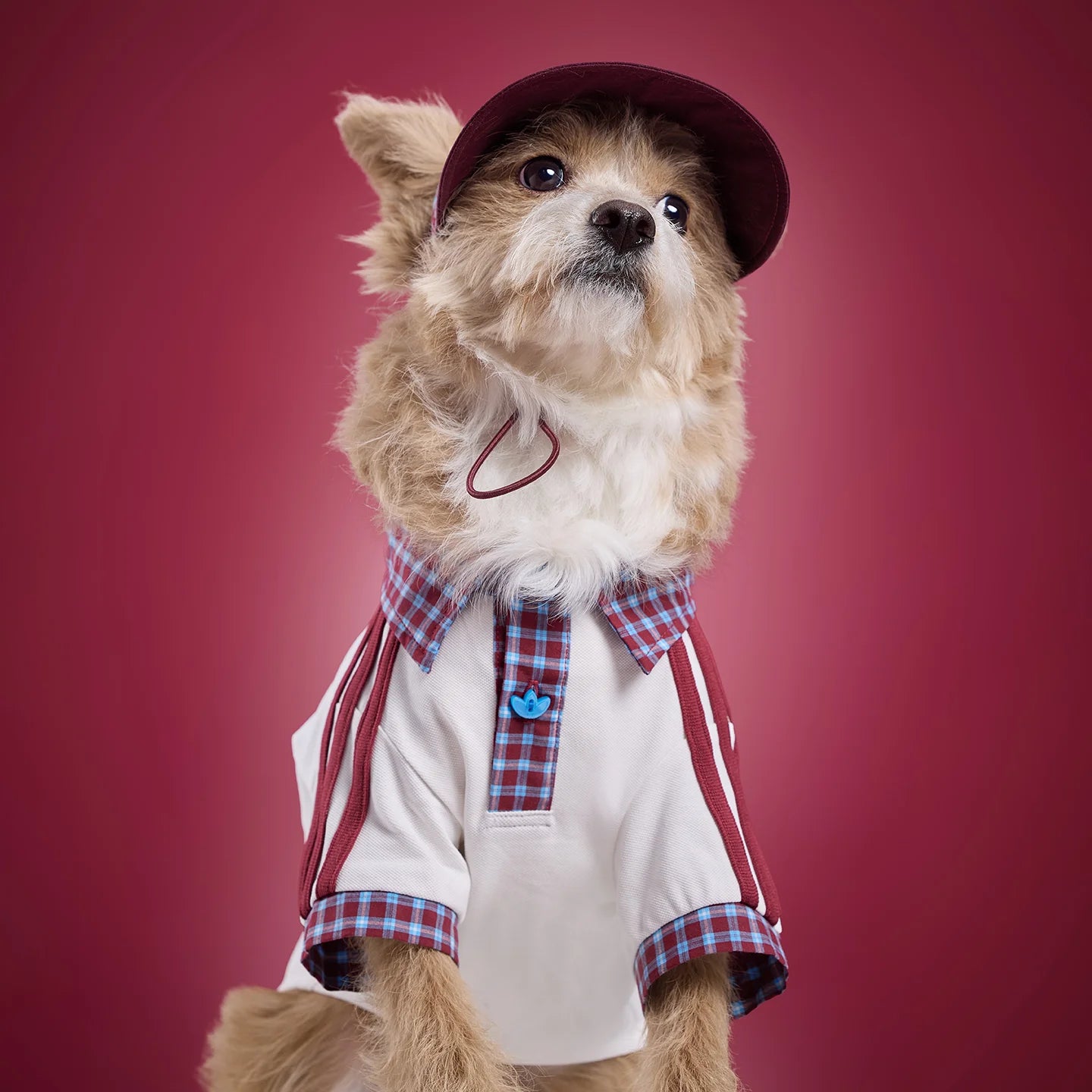 Adidas Plaid Short-Sleeved Pet Polo Shirt (White)