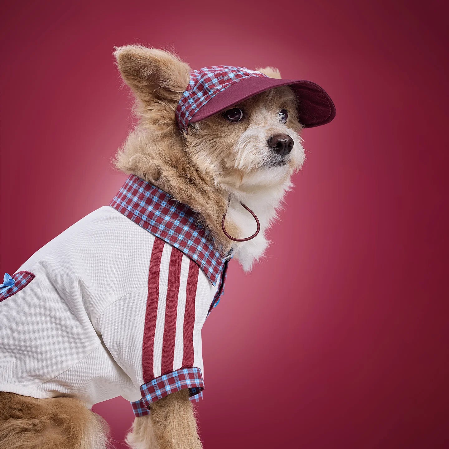 Adidas Plaid Short-Sleeved Pet Polo Shirt (White)