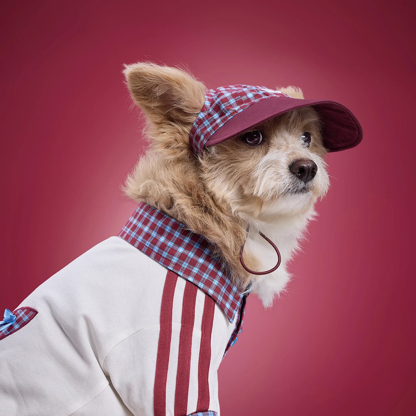 Adidas Pet Plaid Cap (Burgundy)