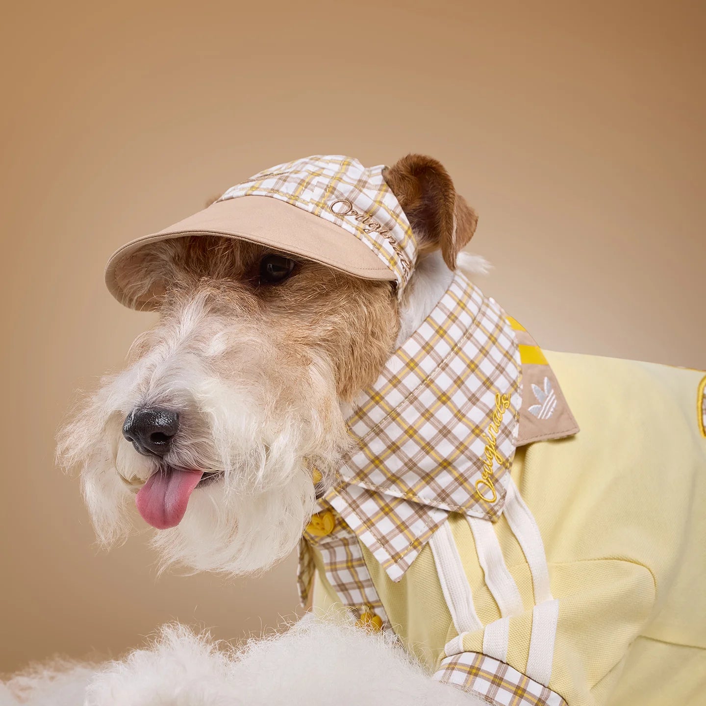 Adidas Pet Plaid Cap (Beige)