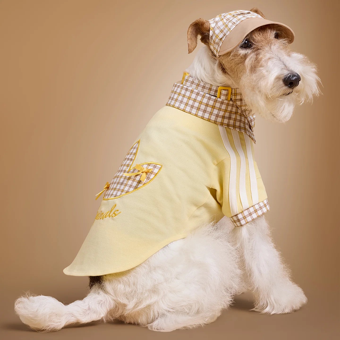 Adidas Pet Plaid Cap (Beige)