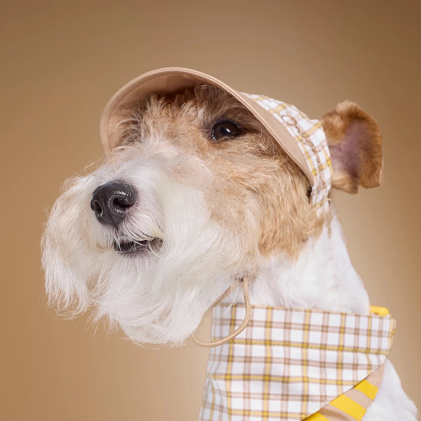 Adidas Pet Plaid Cap (Beige)