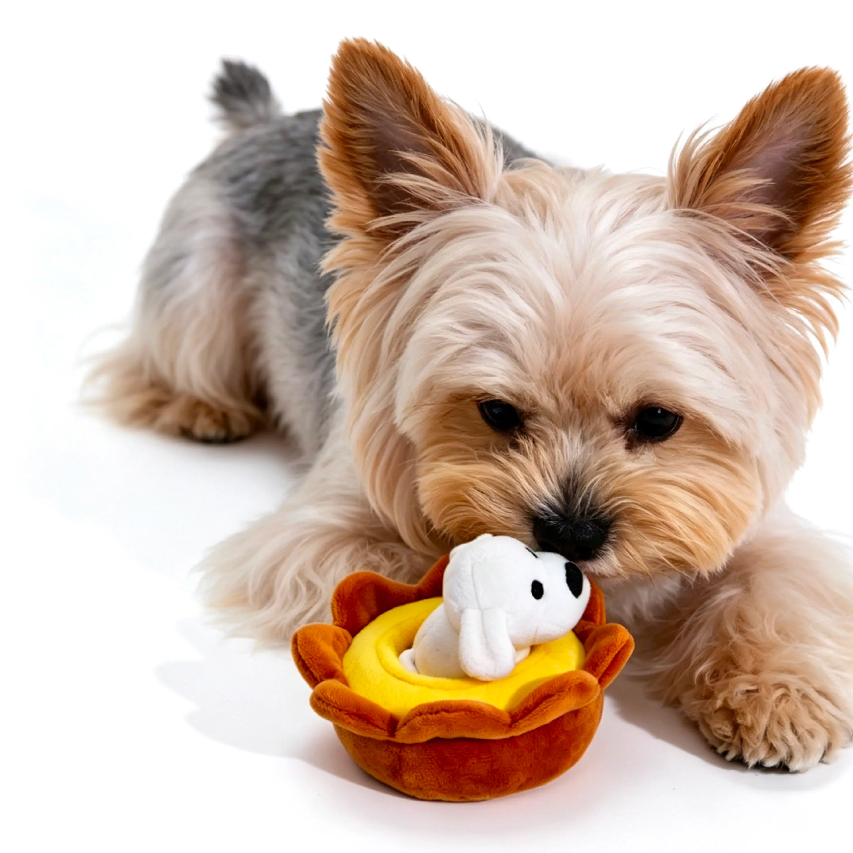 Matsui Dogs x PP Lab Street Food Nosework Toy Blind Box
