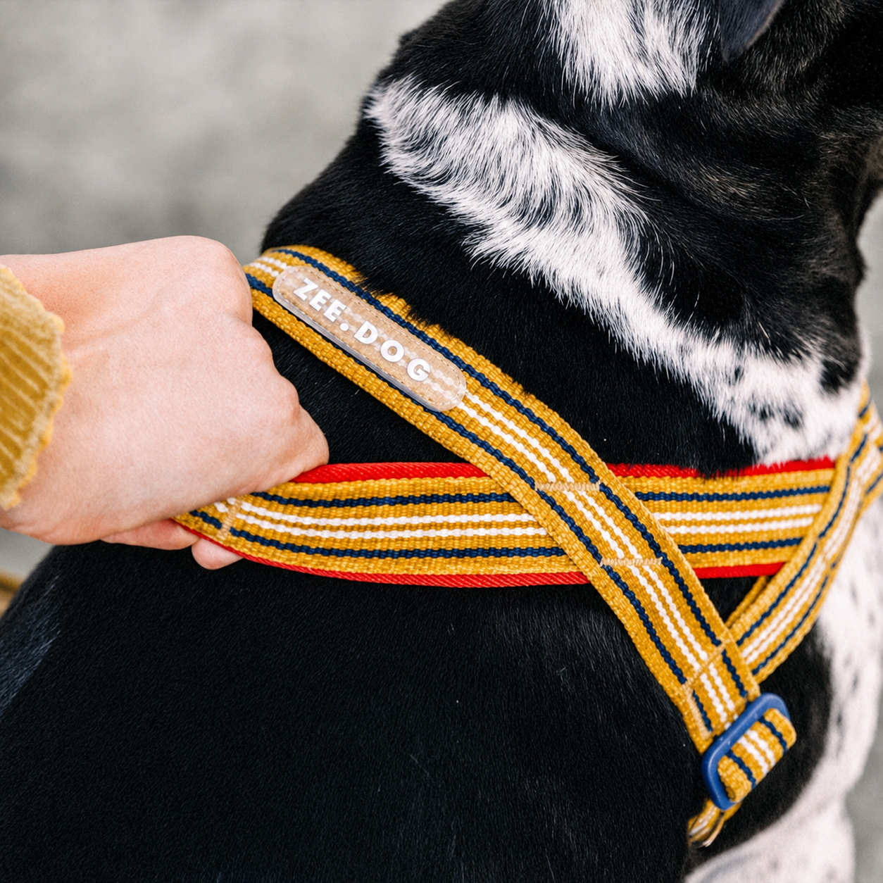 Misfit Velvet Vibes Softer Walk Dog Harness