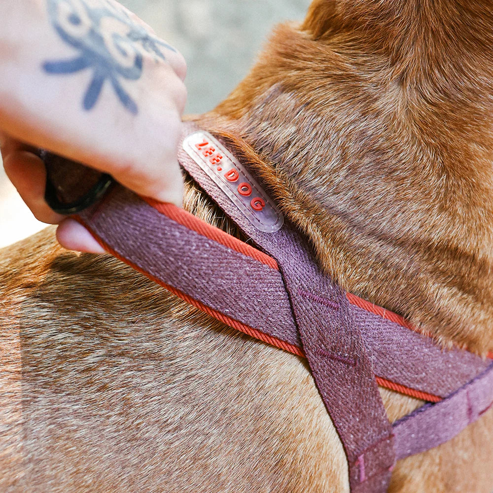 Cocoa Naturals Softer Walk Dog Harness