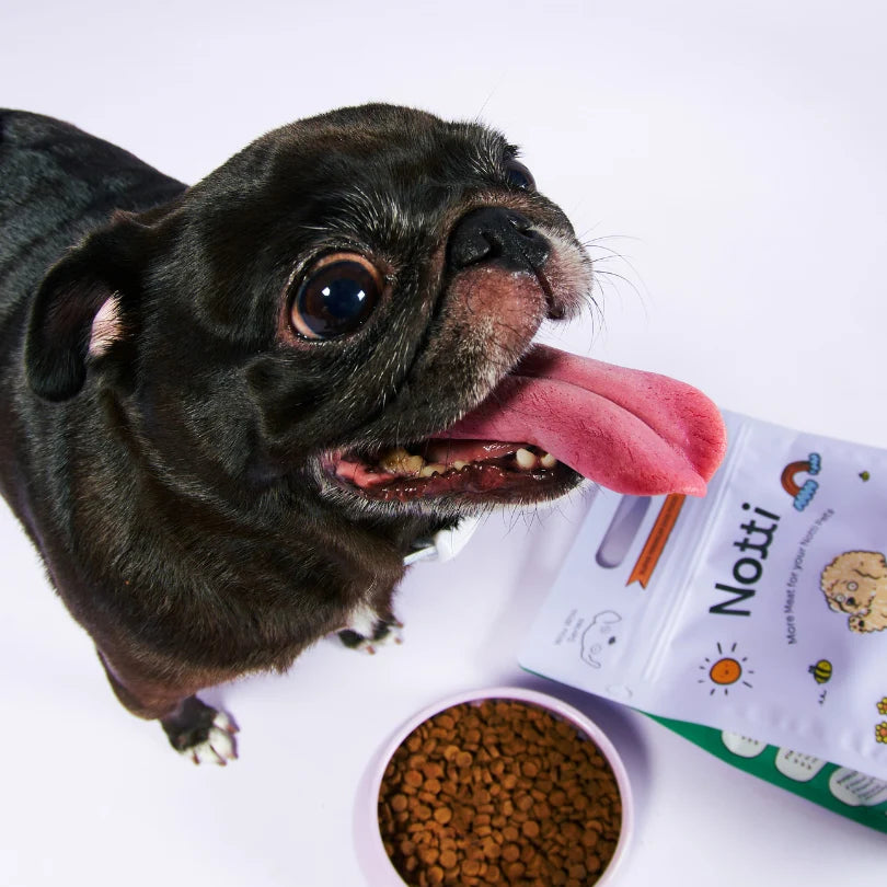 Notti Slow-baked Fresh Chicken & Duck Dog Dry Food (Super Premium)