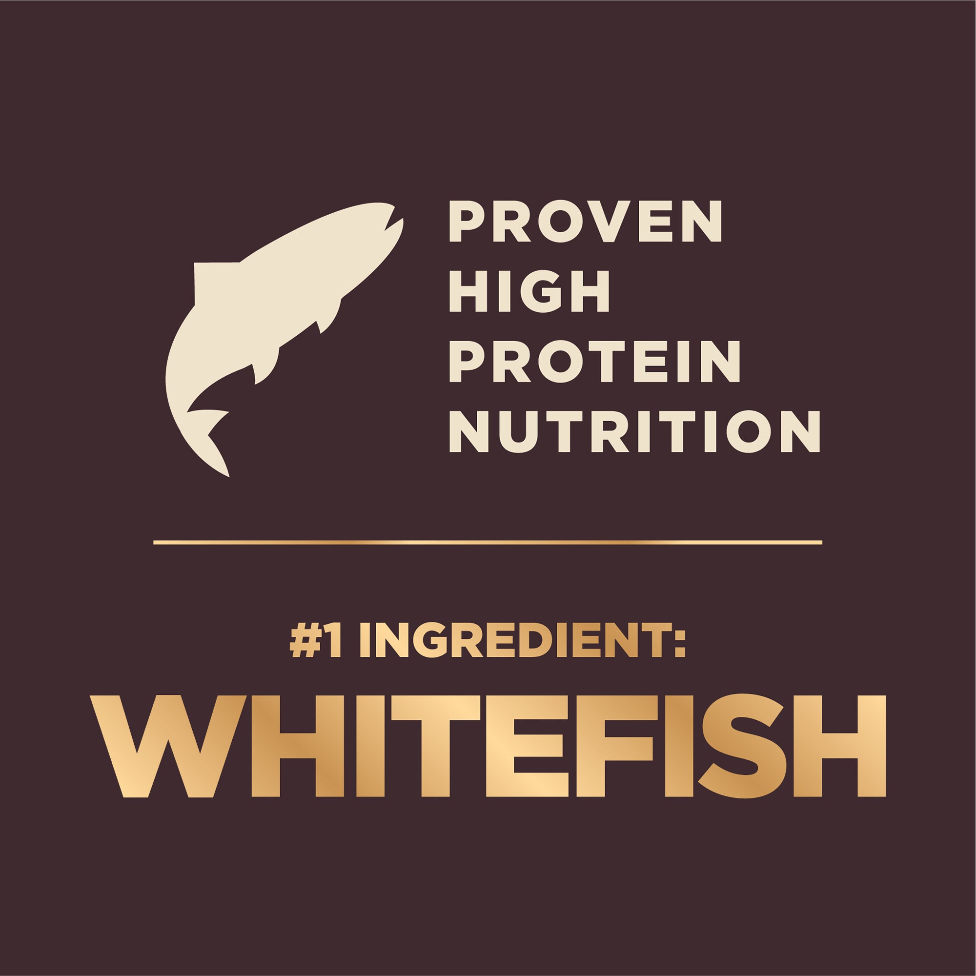 Wellness Core+ (formerly Rawrev) Ocean With Freeze Dried Salmon Grain Free Dry Dog Food
