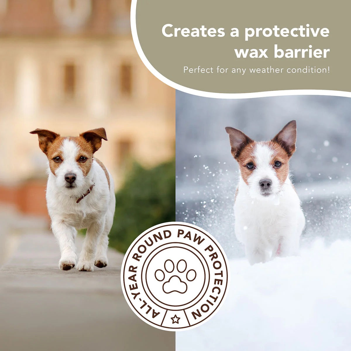 Organic PawTection® Balm