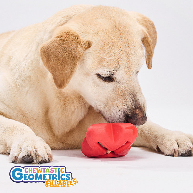 Sensory Enrichment Fillables Treat Dispenser Dog Toy