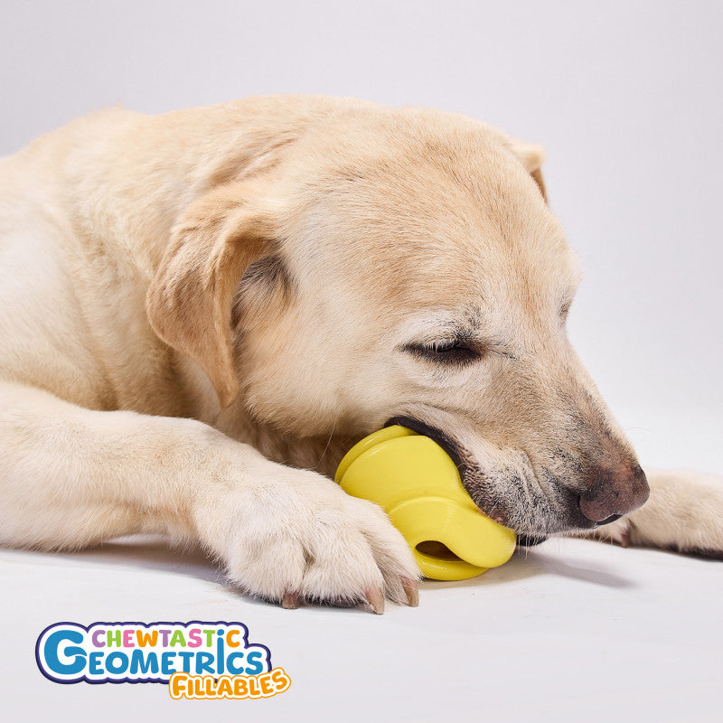 Sensory Enrichment Fillables Treat Dispenser Dog Toy