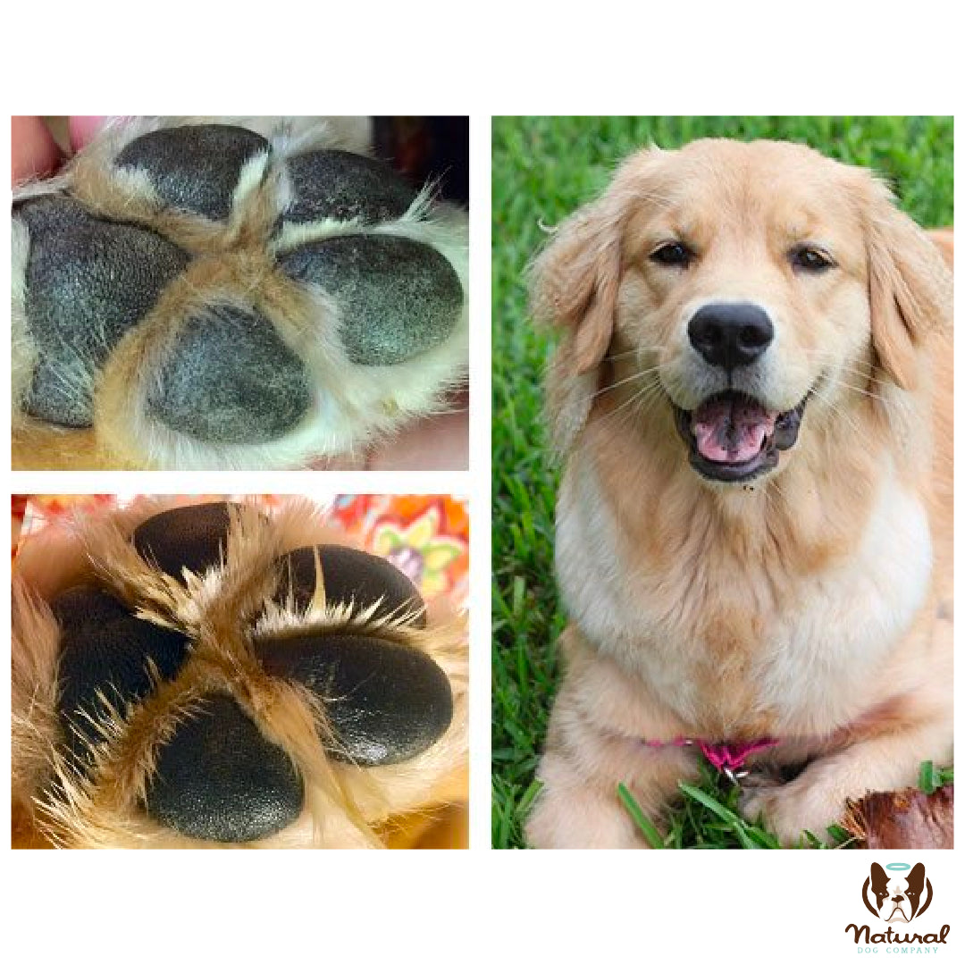 Organic Paw Soother® Balm