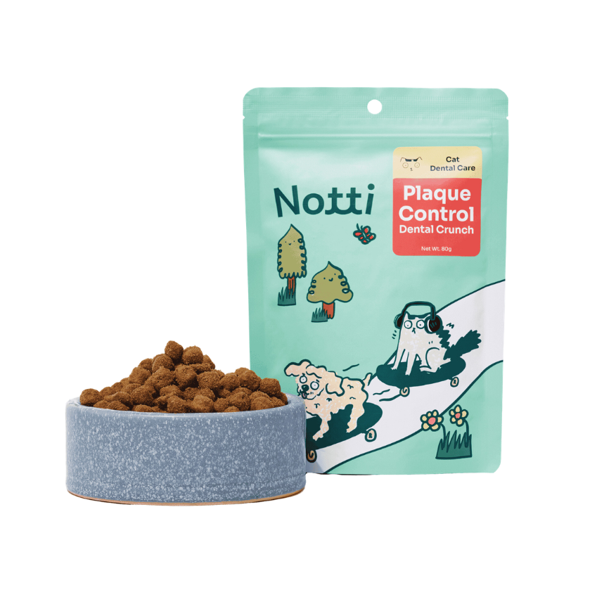 Notti Cat Plaque Control Dental Crunch (80g)