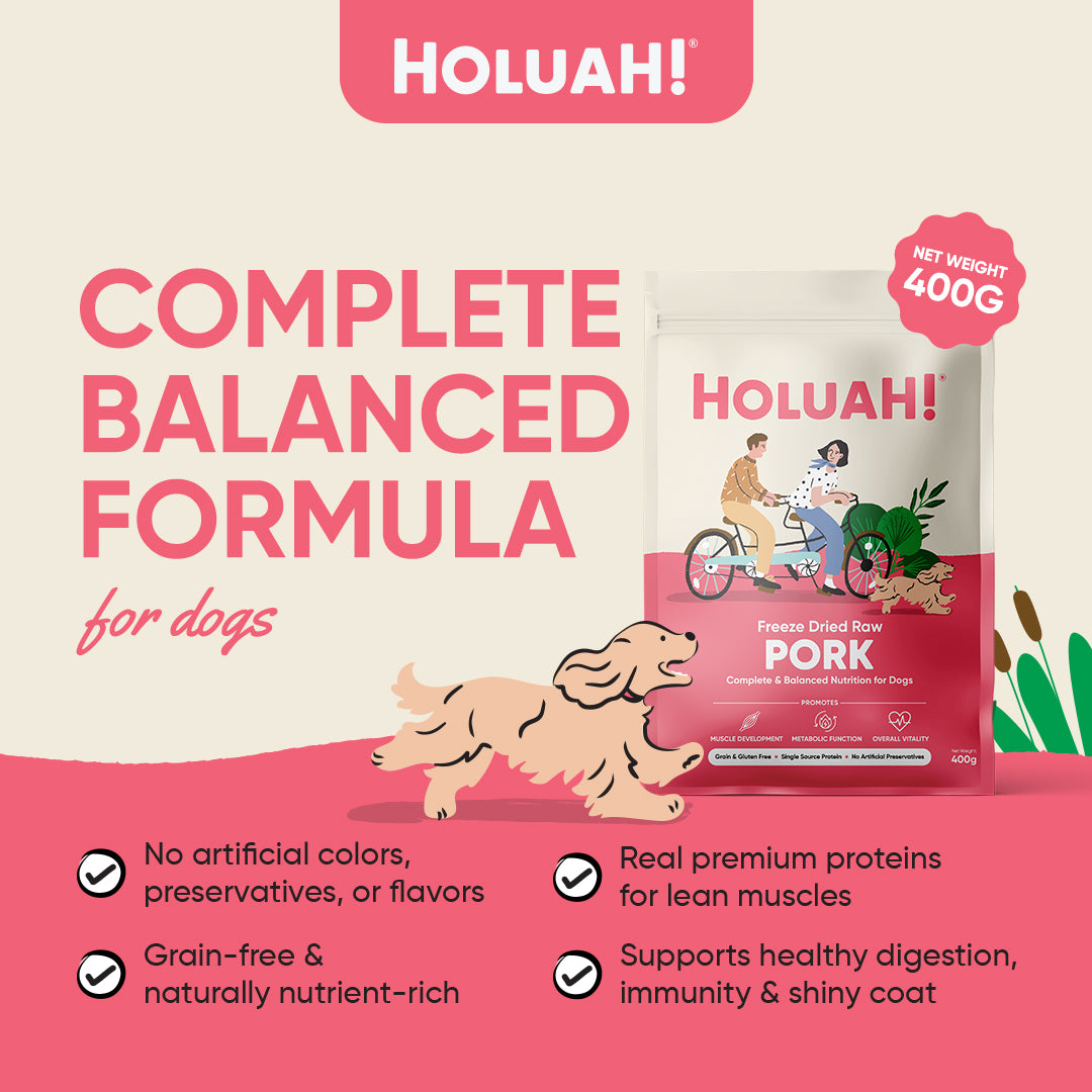Freeze Dried Pork Dog Food (400g)