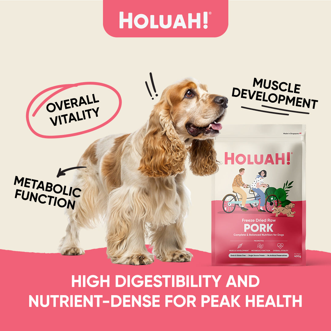 Freeze Dried Pork Dog Food (400g)
