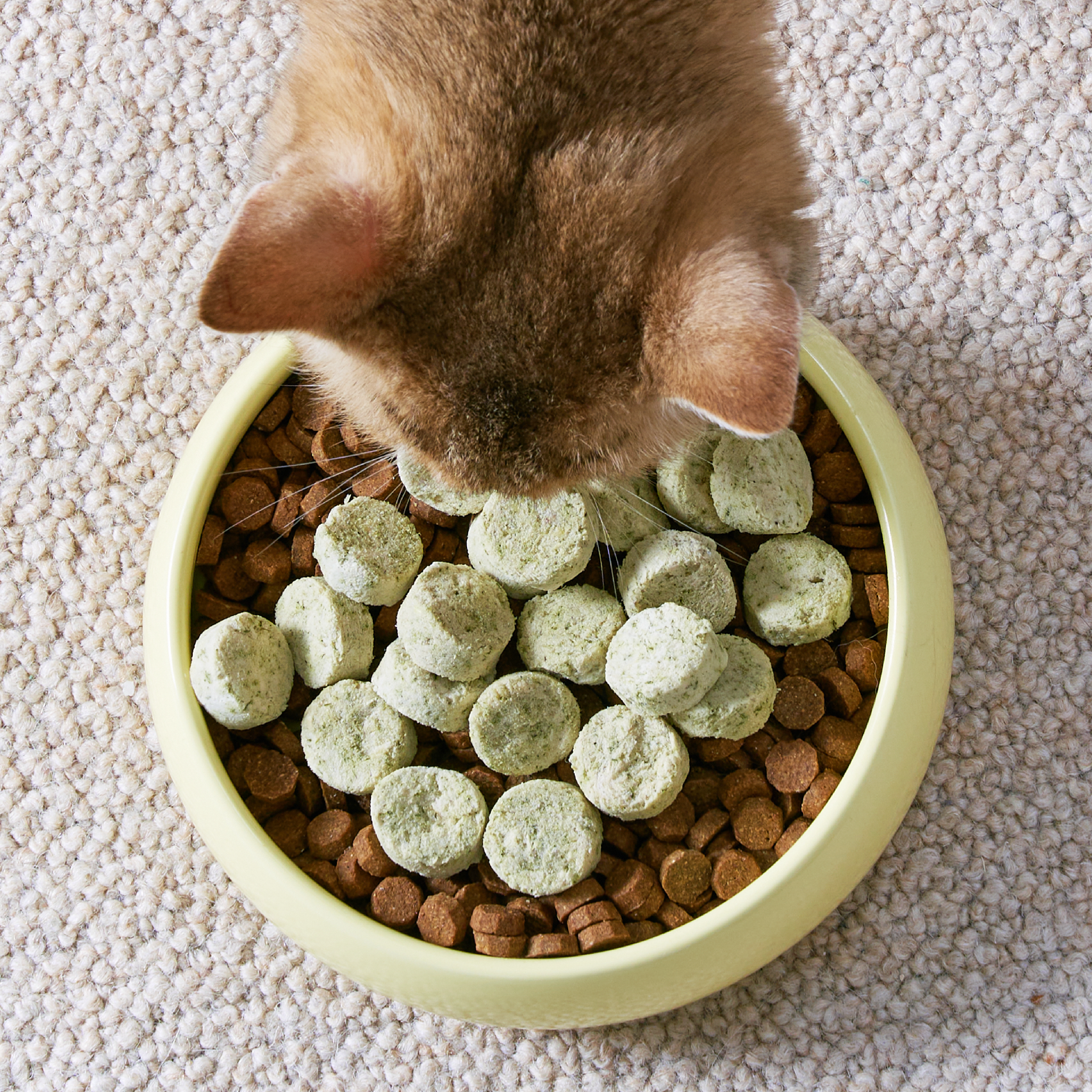 Notti ActivePlay Catnip Freeze-Dried Chunks For Dog & Cat (50g)