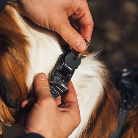 Ridgleline_Collar_Obsidian_Black_Creatureland_1