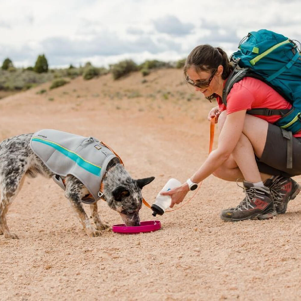 Camp Flyer™ Lightweight & Flexible Flying Disc Dog Toy