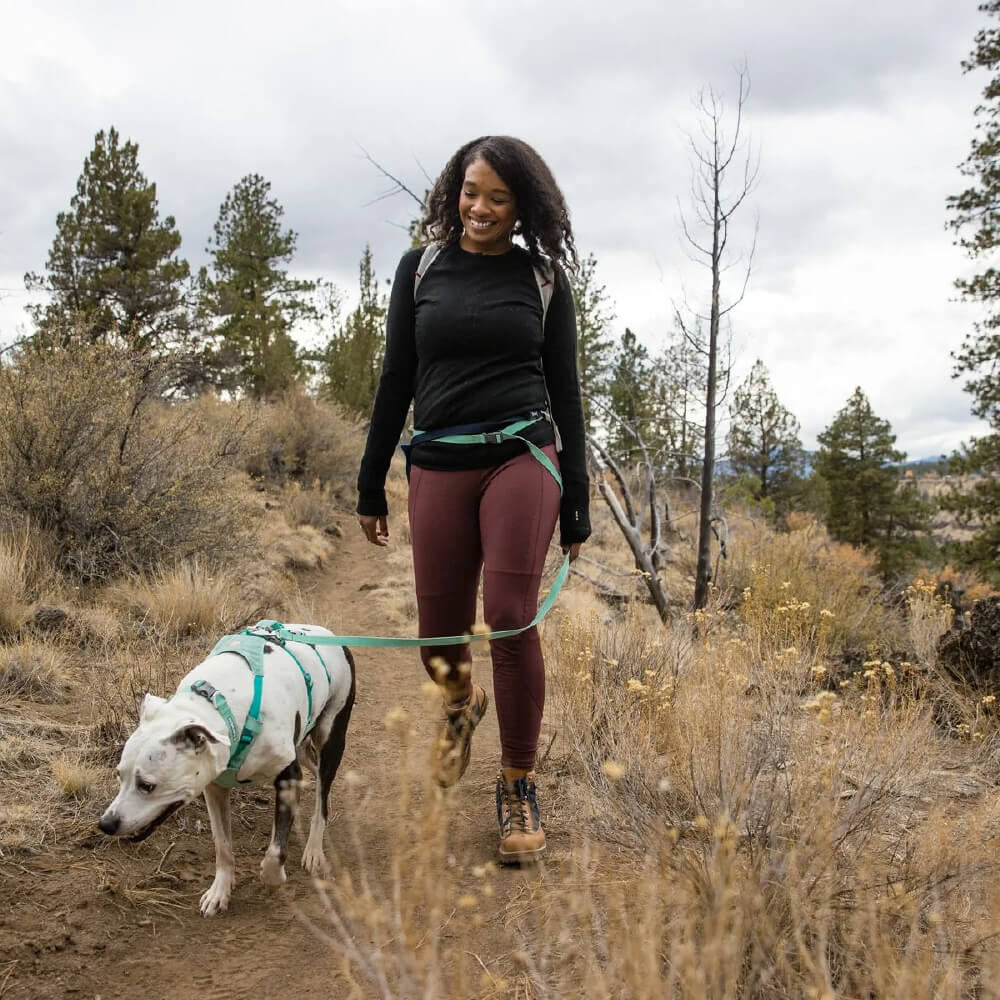 Flagline™ Lightweight Hands-Free Dog Leash (4 Colours)