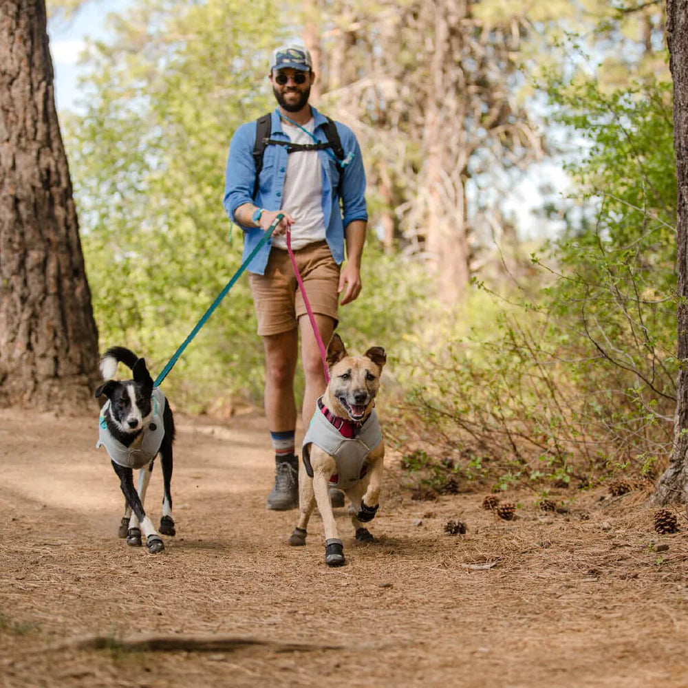 Grip Trex™ All-Terrain Dog Boots (2 Colours)