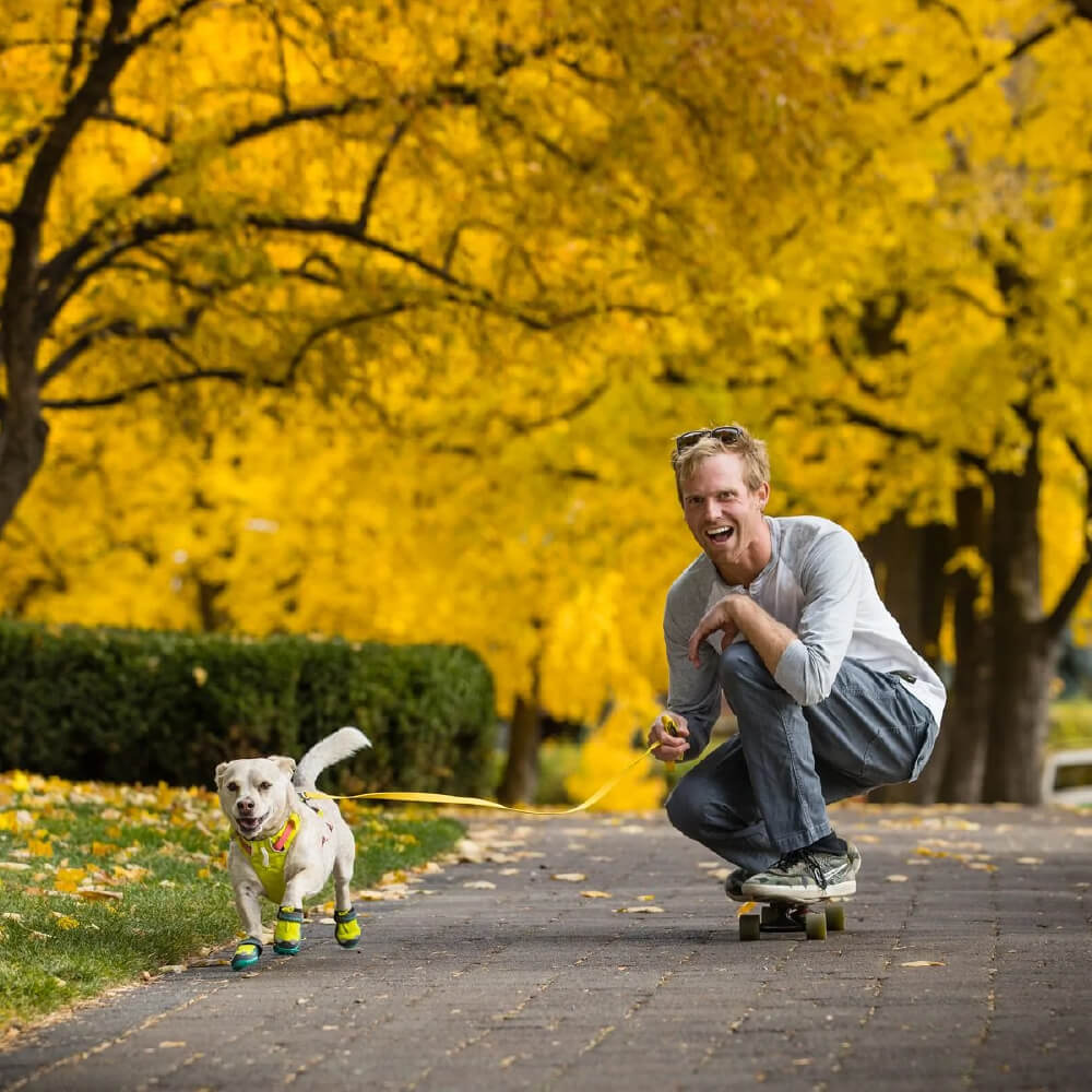 Hi & Light™ Lightweight Dog Leash (4 Colours)