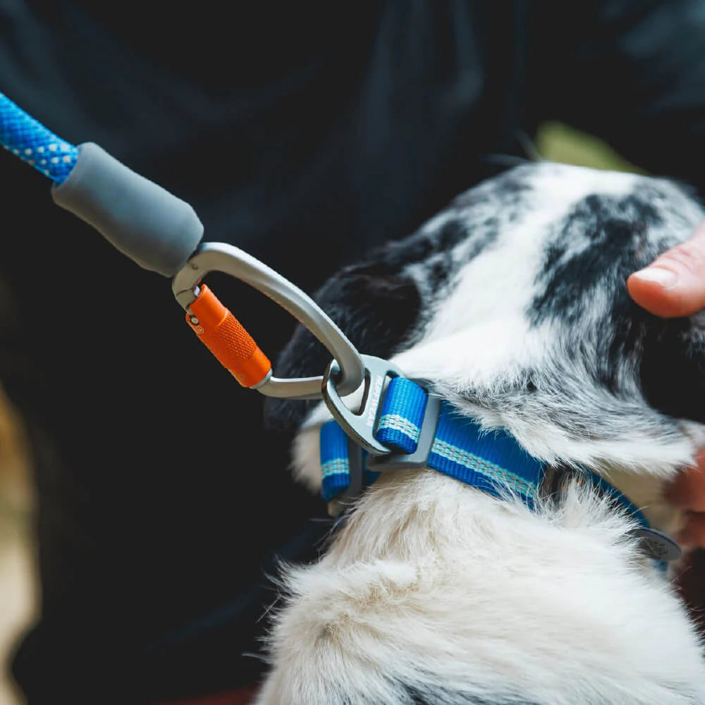 Knot-a-Leash™ Reflective Rope Dog Leash with Locking Carabiner (4 Colours)