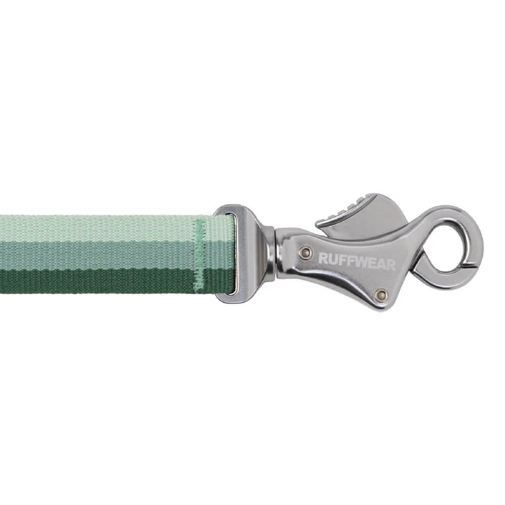 Roamer™ Multi-Use Bungee Dog Leash (3 Colours)