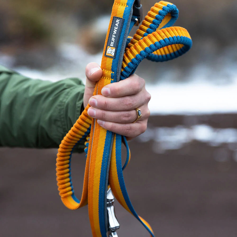 Roamer™ Multi-Use Bungee Dog Leash (3 Colours)