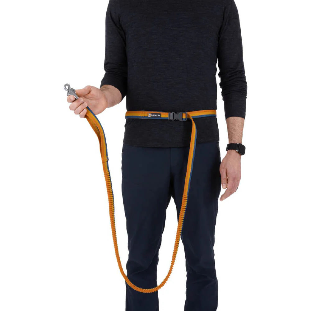 Roamer™ Multi-Use Bungee Dog Leash (3 Colours)