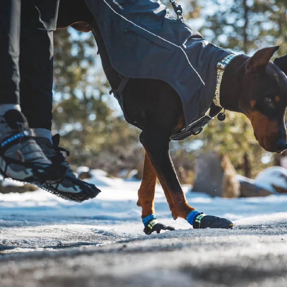 Summit Trex™ All-Season Dog Boots (2 Colours)