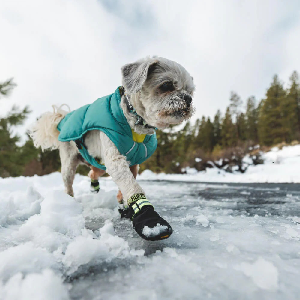 Summit Trex™ All-Season Dog Boots (2 Colours)