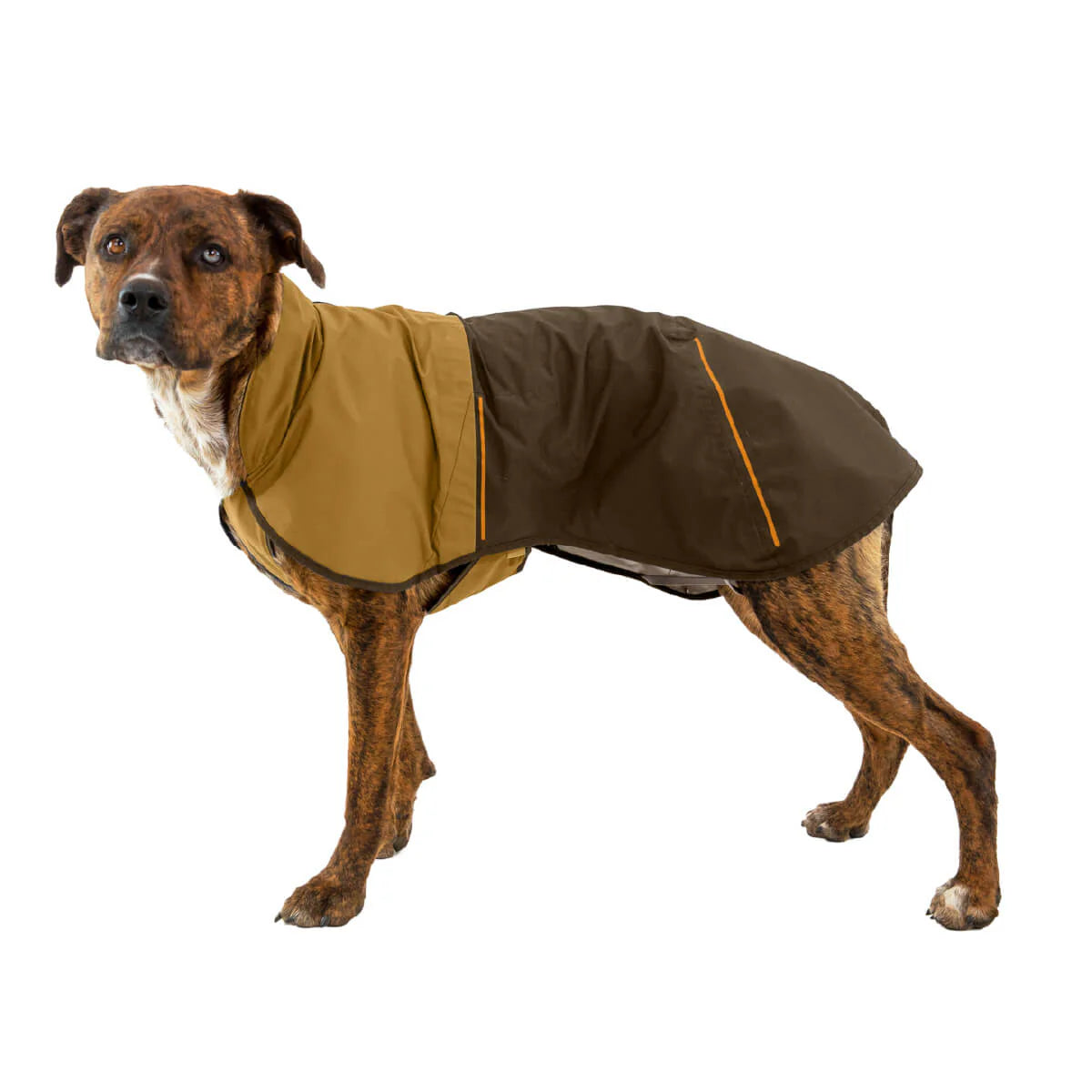 Sun Shower™ Dog Raincoat (2 Colours)