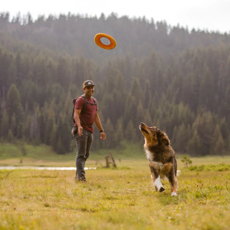 Hydro Plane™ High-Floating Tug & Fetch Dog Toy