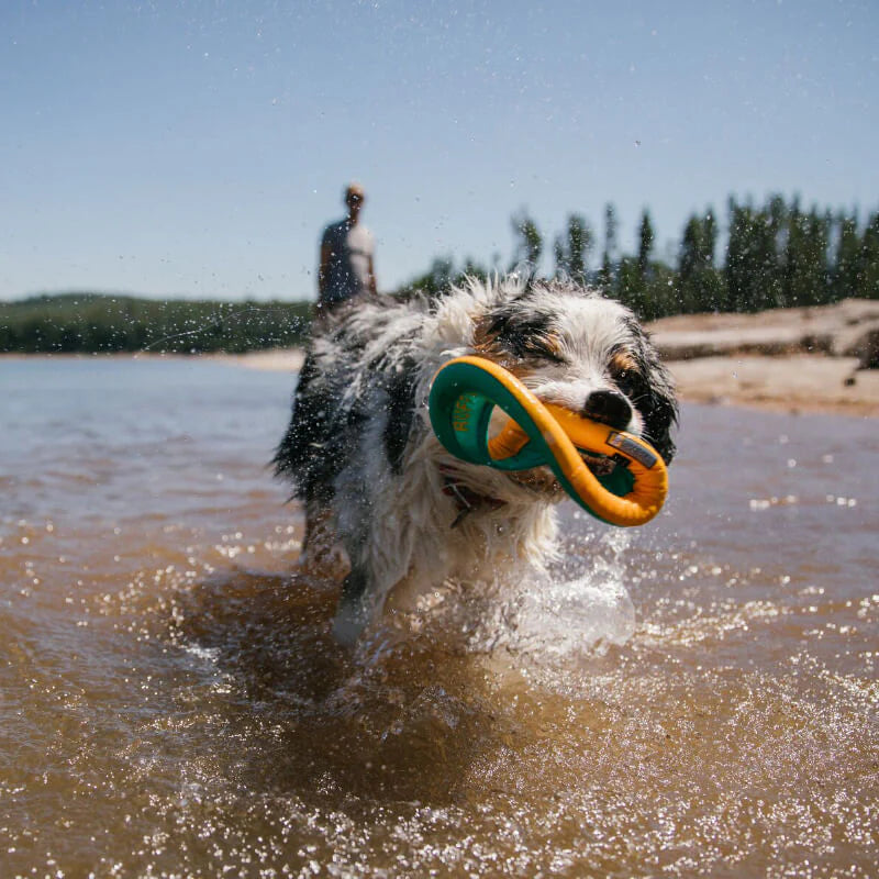 Hydro Plane™ High-Floating Tug & Fetch Dog Toy