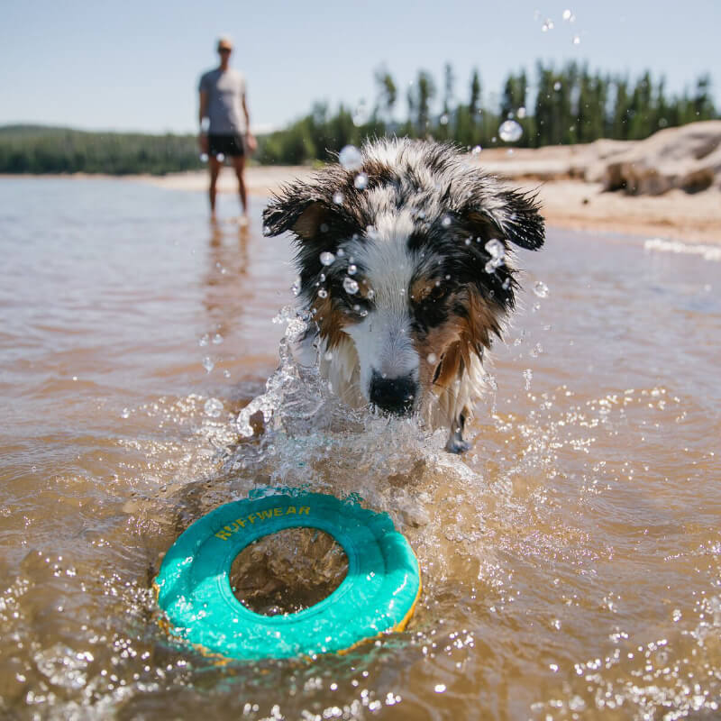 Hydro Plane™ High-Floating Tug & Fetch Dog Toy