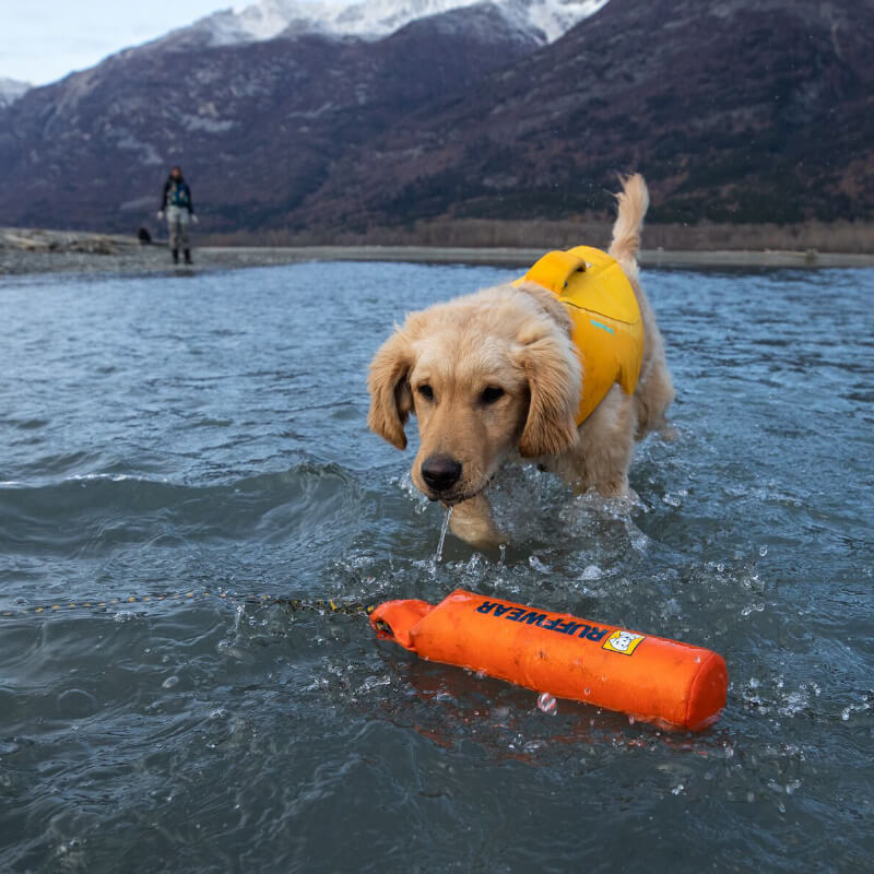 Lunker™ Floating Throw & Tug Dog Toy