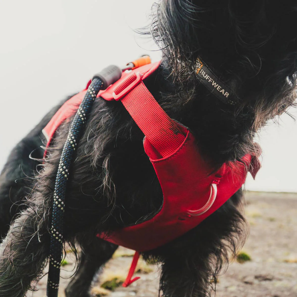 Web Master™ Dog Harness with Handle (4 Colours)
