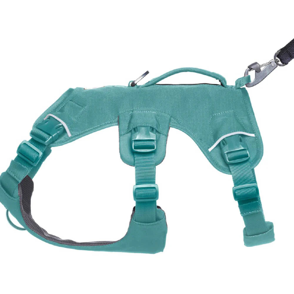 Web Master™ Dog Harness with Handle (4 Colours)