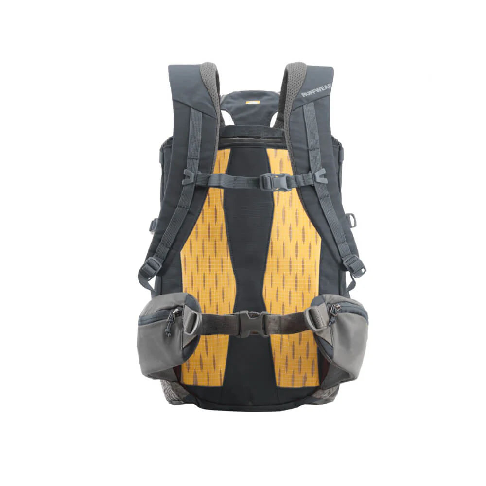 Hitch Hiker™ Dog Backpack Carrier