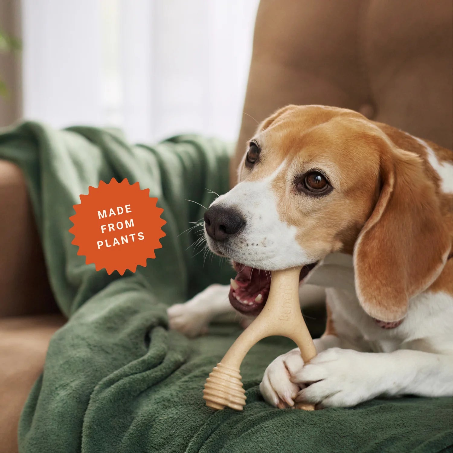 BetterBone Natural Dog Chew Toy