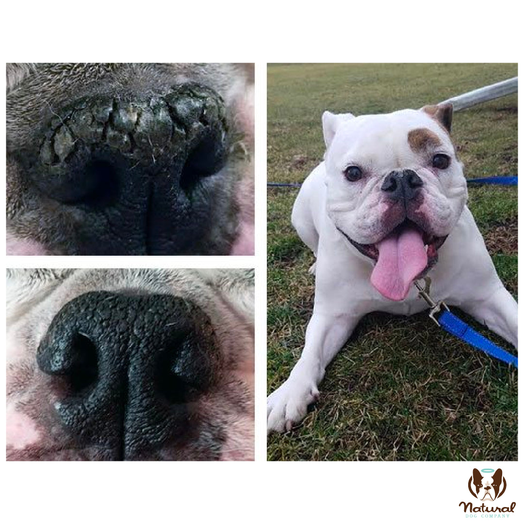 Organic Snout Soother® Balm