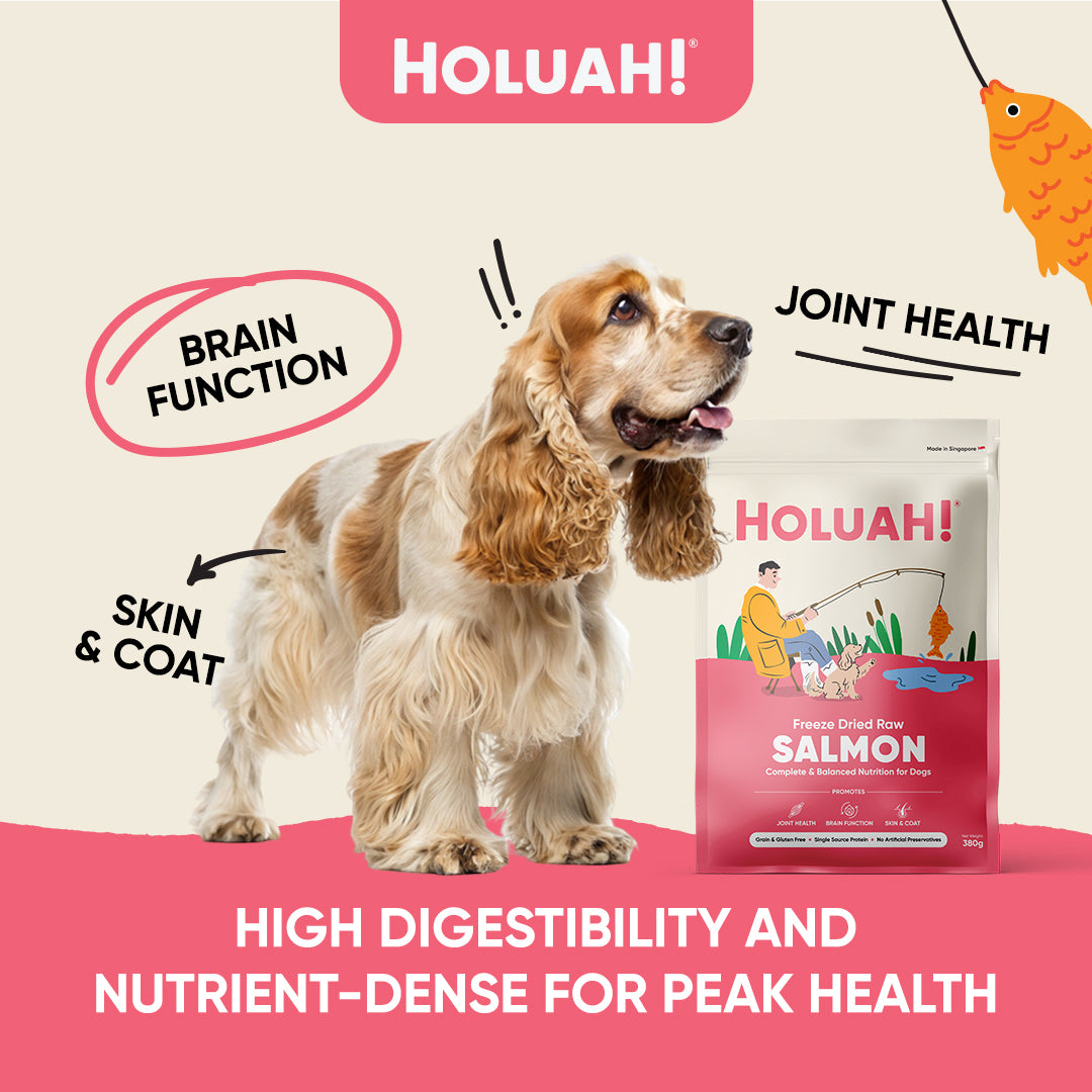 Freeze Dried Salmon Dog Food (380g)