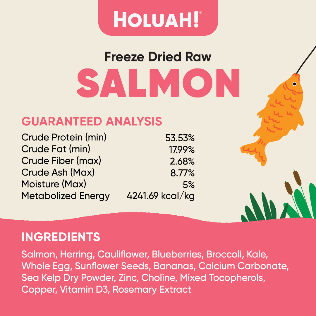 Freeze Dried Salmon Dog Food (380g)