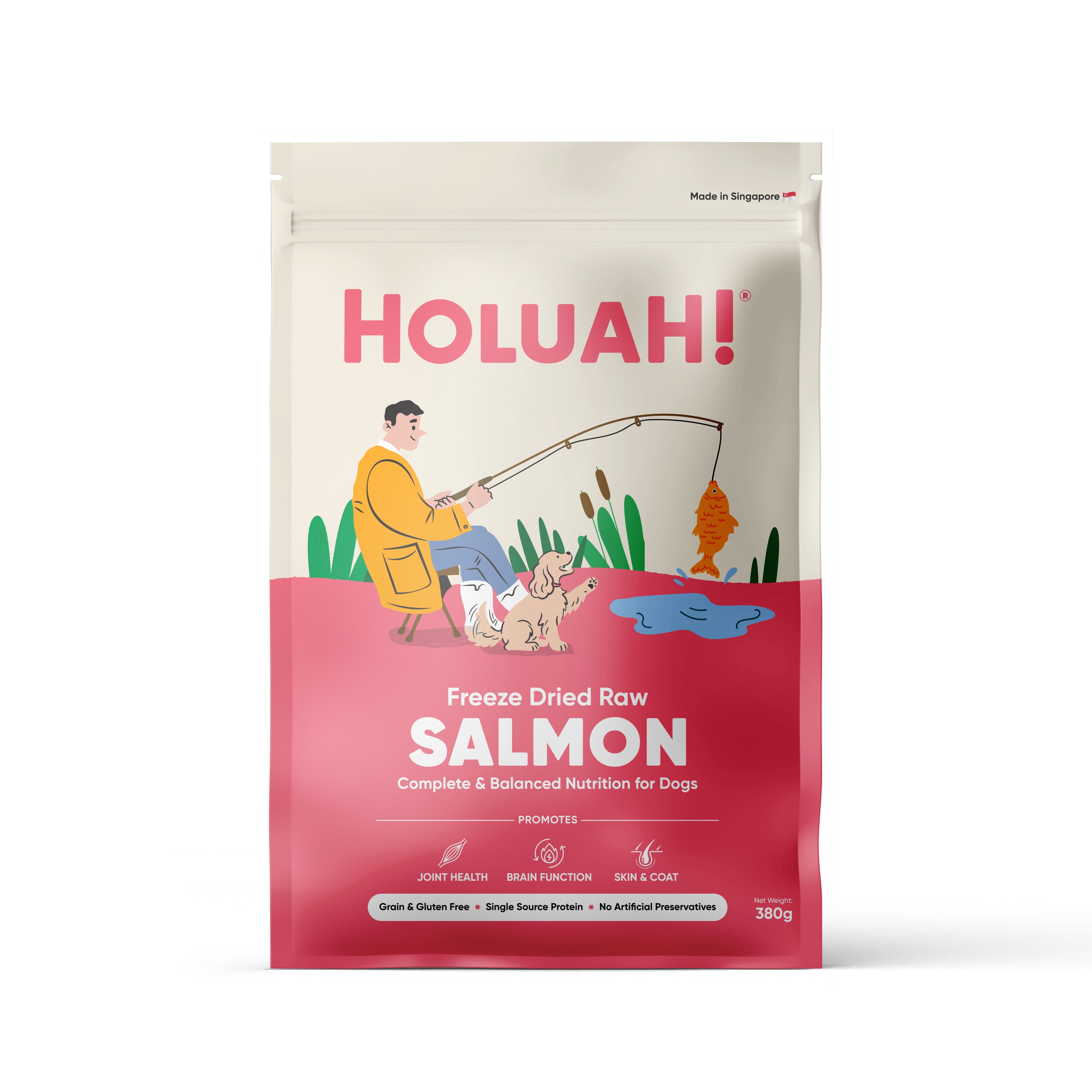Freeze Dried Salmon Dog Food (380g)
