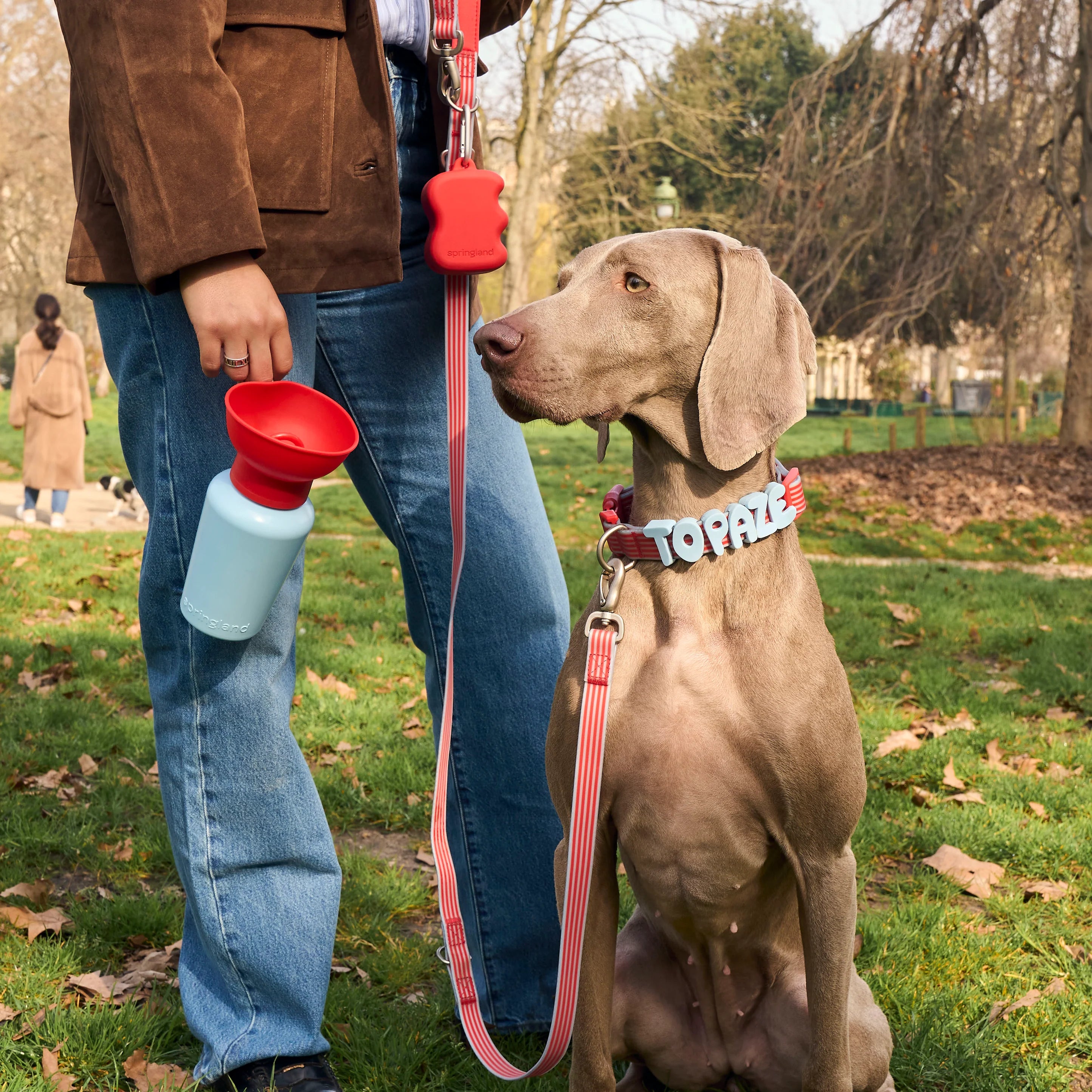 Limited Edition | Flip Dog Travel Water Bottle