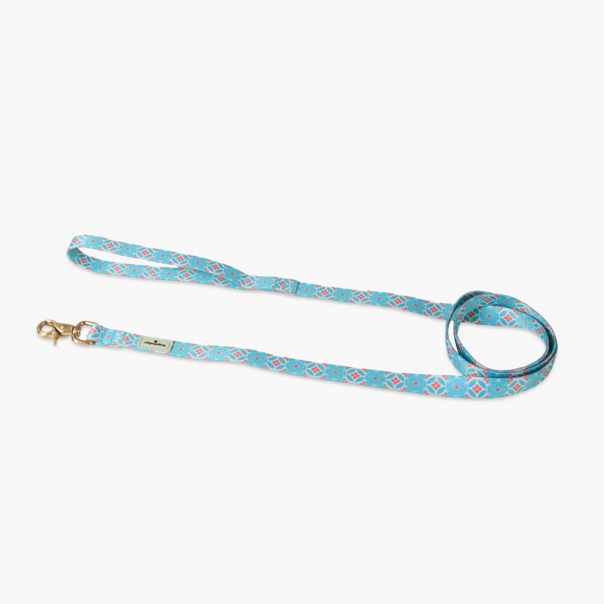 Straits Mint Nylon Leash