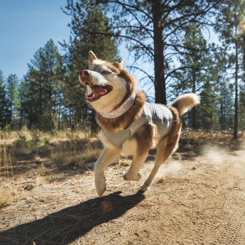 Swamp Cooler Zip™ Cooling Dog Vest