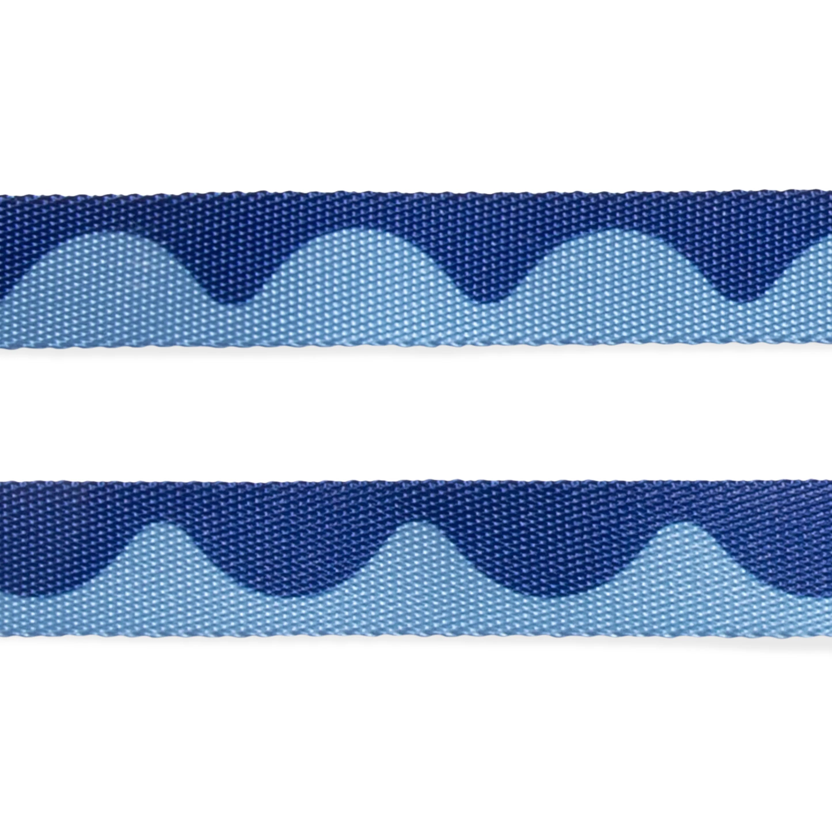 Swell Dog Leash