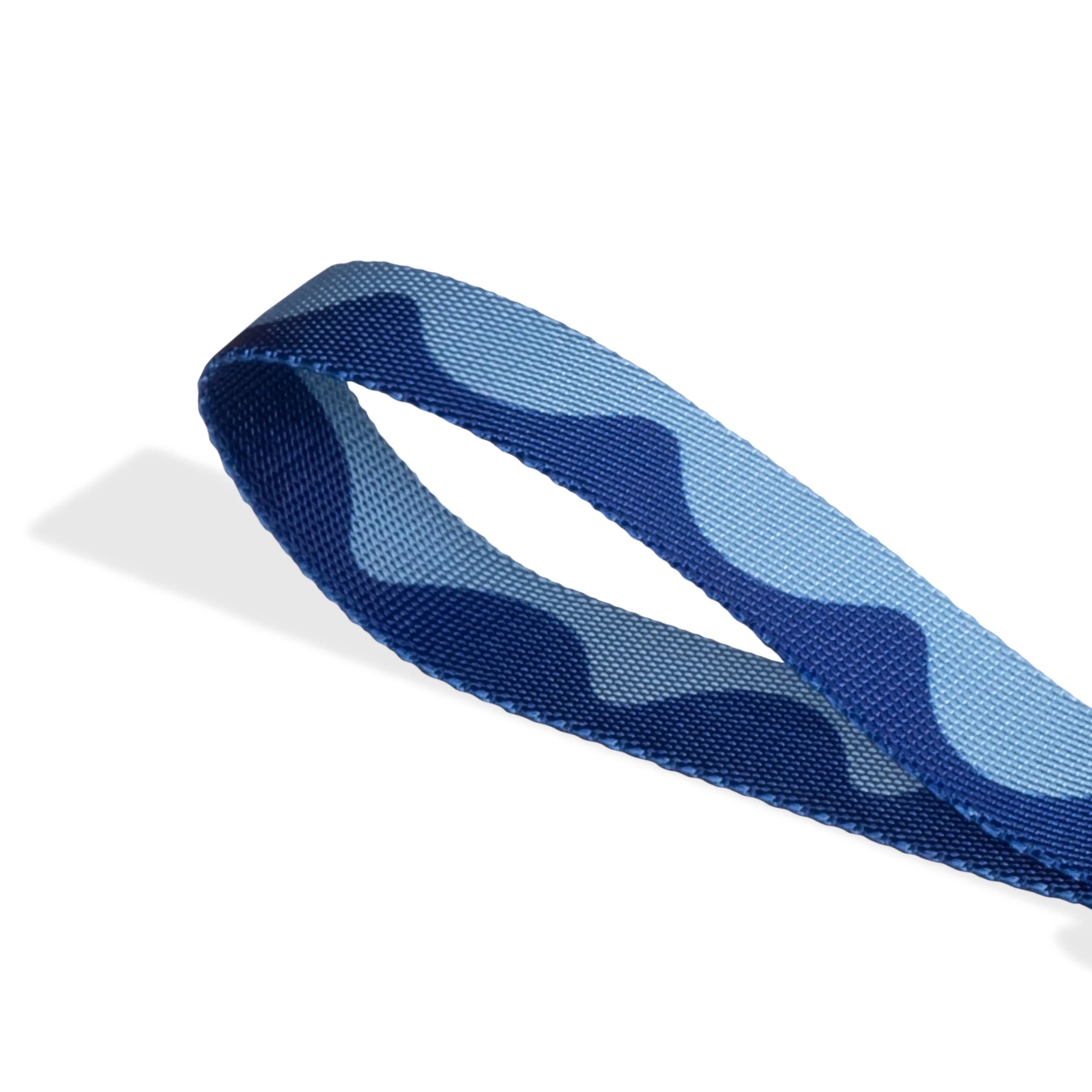 Swell Dog Leash