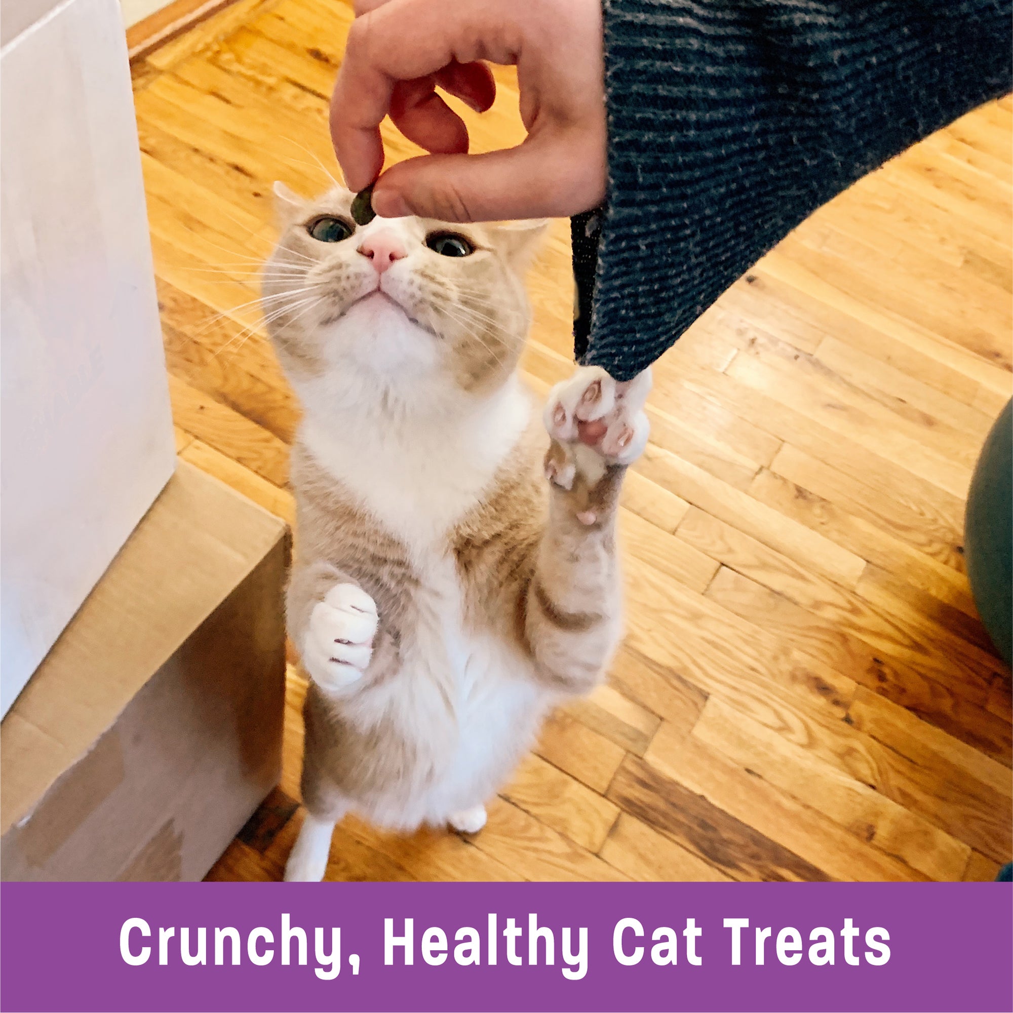 Kittles Tuna & Cranberries Cat Treats (2oz)