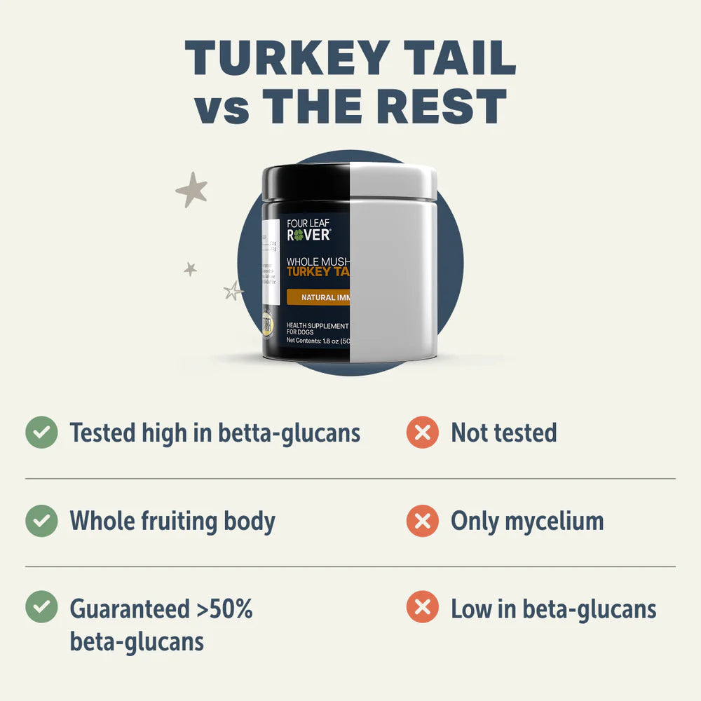 Turkey Tail Mushroom | Immune Booster Dog Supplement